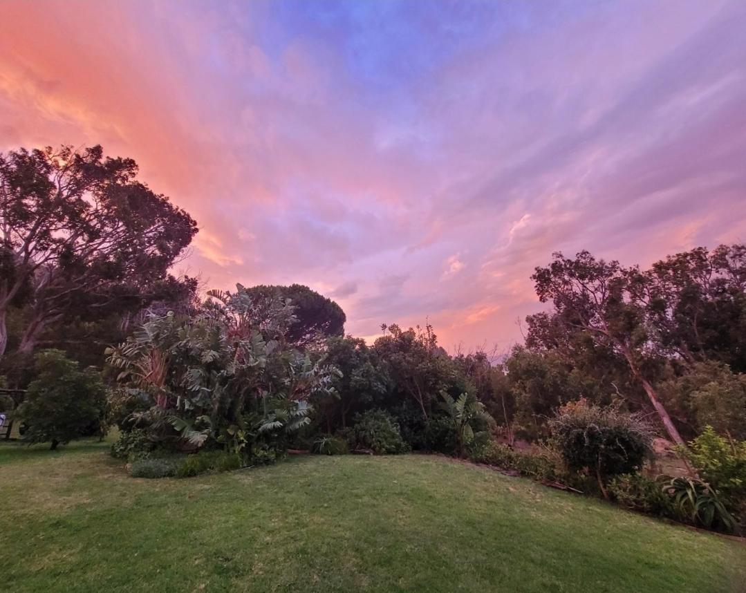Froggy Farm Self Catering Simon's Town